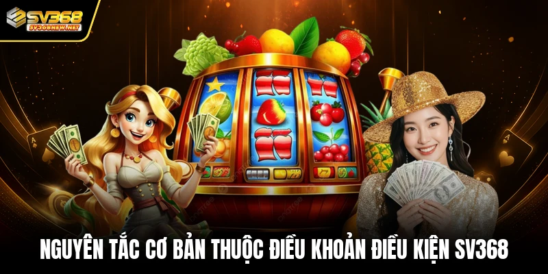 Nguyên tắc cơ bản thuộc điều khoản điều kiện SV368