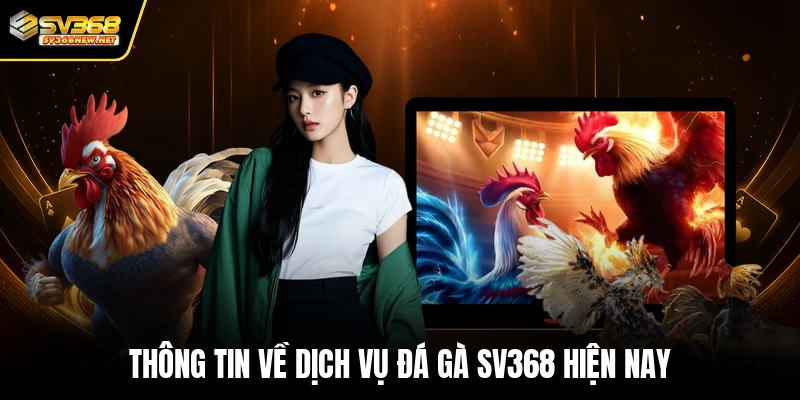Thông tin về dịch vụ đá gà SV368 hiện nay