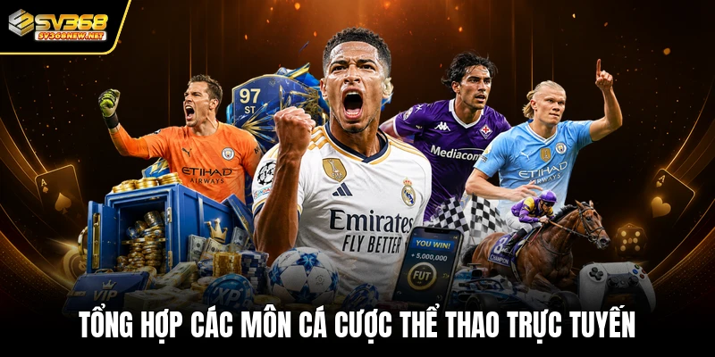 Tổng hợp các môn cá cược thể thao trực tuyến